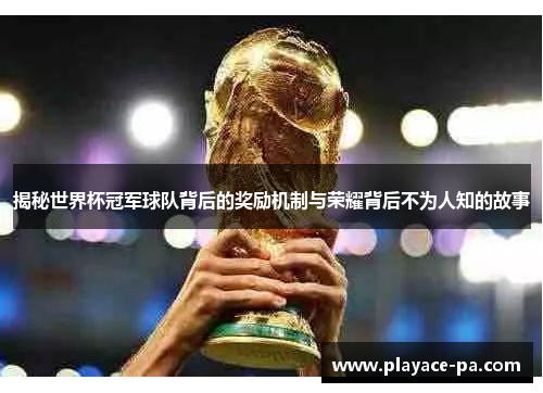 揭秘世界杯冠军球队背后的奖励机制与荣耀背后不为人知的故事