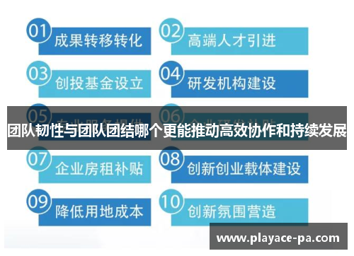 团队韧性与团队团结哪个更能推动高效协作和持续发展 团队韧性与团队团结哪个更能推动高效协作和持续发展