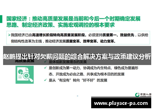 赵鹏提出针对欠薪问题的综合解决方案与政策建议分析 赵鹏提出针对欠薪问题的综合解决方案与政策建议分析