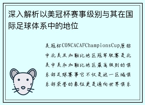 深入解析以美冠杯赛事级别与其在国际足球体系中的地位 深入解析以美冠杯赛事级别与其在国际足球体系中的地位
