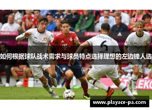 如何根据球队战术需求与球员特点选择理想的左边锋人选