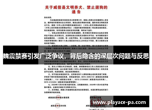 魏震禁赛引发广泛争议，背后隐含的深层次问题与反思